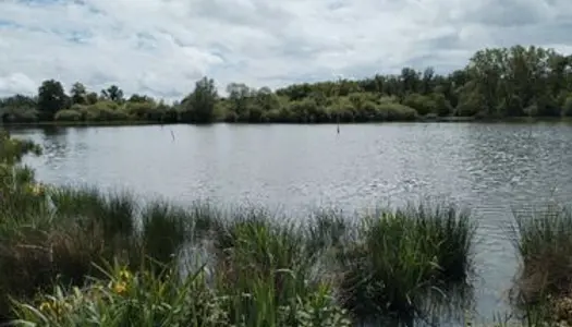 Trois étangs avec terrain 
