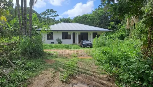 Dpt Guyane (973), à vendre  maison P6  - Terrain de 0 