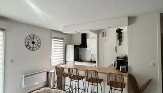 Appartement T2 48m2 entièrement rénové 