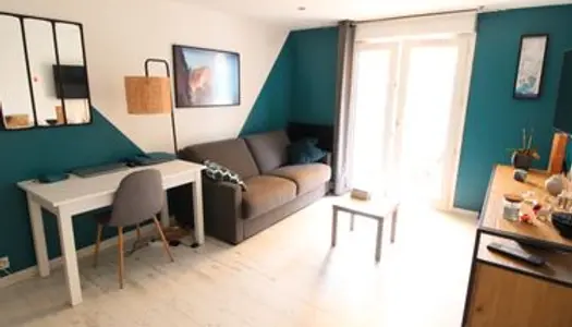 Superbe appartement refait à neuf 45 m2 2 pièces 