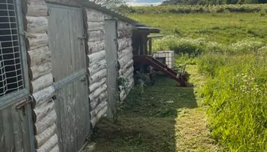 Pré pour chevaux 1hectare Vertou 