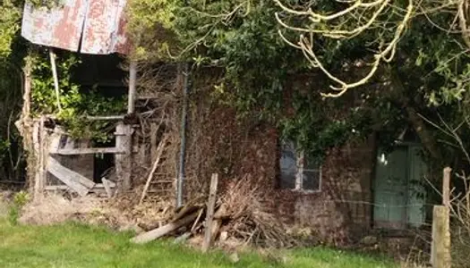 Maison en ruine à restaurer