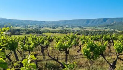 Domaine viticole de 8 ha sur zone Luberon Ventoux 