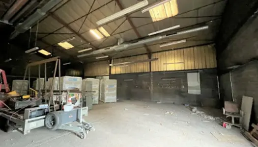 Local commercial 1200 m² 