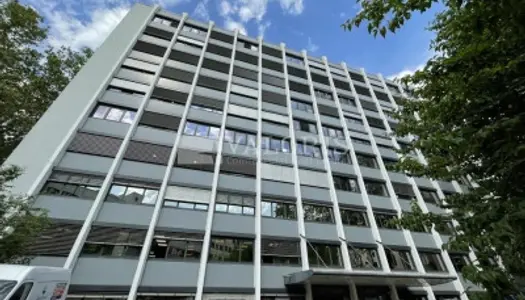 Immobilier professionnel Vente Villeurbanne  242m² 7000000€