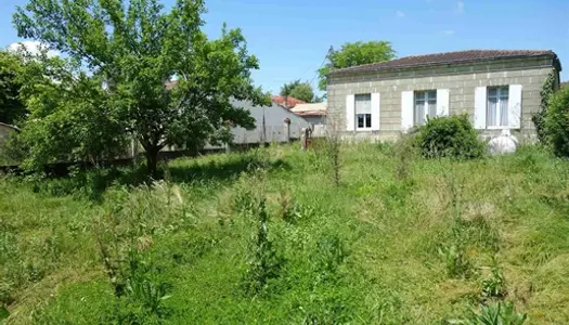 Maison en pierre avec dépendances et grand terrain 1.2 hectare 