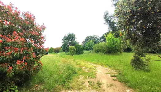 Terrain à batir viabilisé de 784 m2 