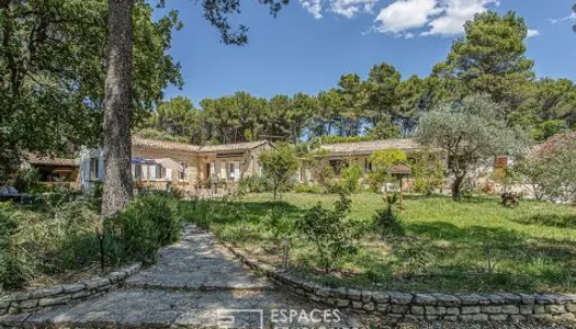 Maison rénovée avec piscine et gites sur la colline Pernoise 