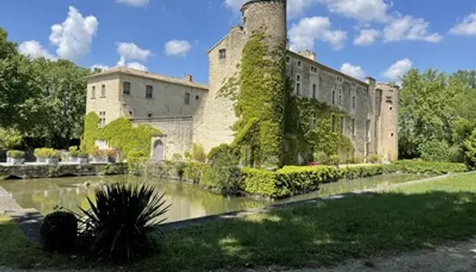 Grand appartement situé dans un monument historique