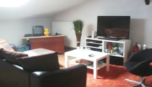 Charmant appartement T3 avec Locataire en place