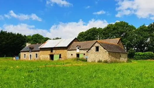Vends corps de ferme en Bretagne avec 2,5 hectares de prairie et verger - 600m² 