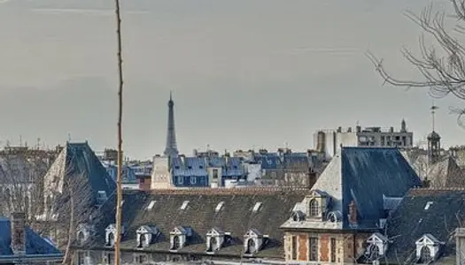 Vends Paris 1er, 3 pièces traversant et vue dégagée - ascenseur - 62m²