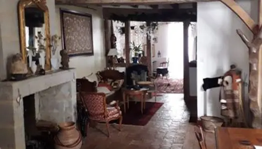 Maison de village, vue imprenable sur la Loire 