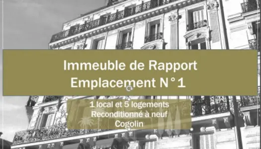 IMMEUBLE DE RAPPORT EMPLACEMENT N°1 
