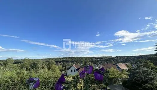 Propriété au calme en lisière de forêt 