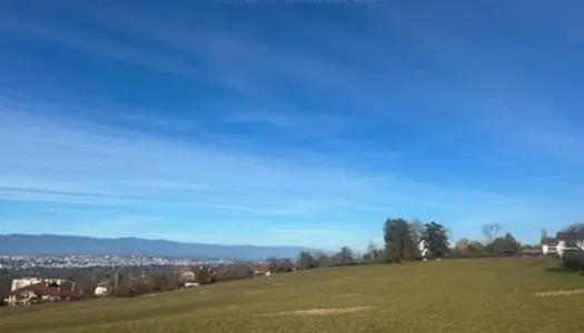 Rare à la vente toît Terrasse