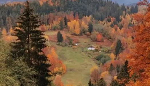 A louer appartement 80m2 dans ferme isolée 