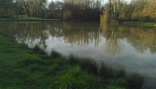 Bel étang poissonneux Sud Touraine