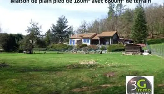 Maison - Villa Vente Chazelles-sur-Lyon 6p 170m² 300000€