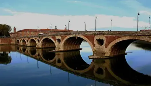 Toulouse Pont-Neuf