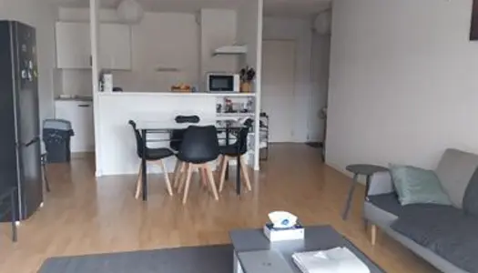 Appartement T3 meublé 67m2 possible coloc solidaire st Cyprien