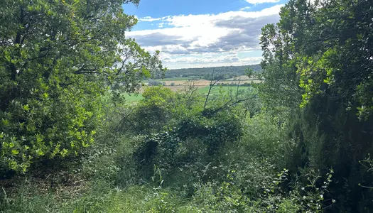 Exclusivité. Uzès, Terrain constructible de 2 000 m² 