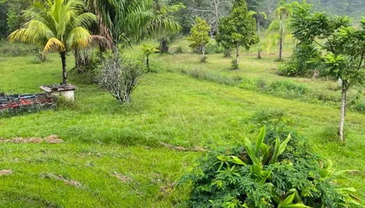 Dpt Guyane (973), à vendre  maison P6 de 139 m² - Terrain de 30 015,00 m²