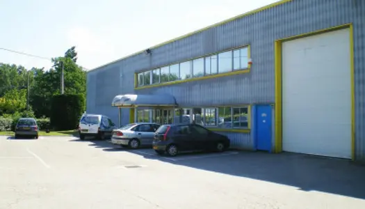 Local commercial 1650 m² 