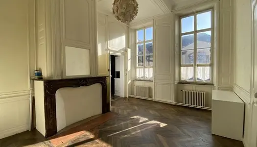 Hôtel particulier 18 pièces 300 m² 