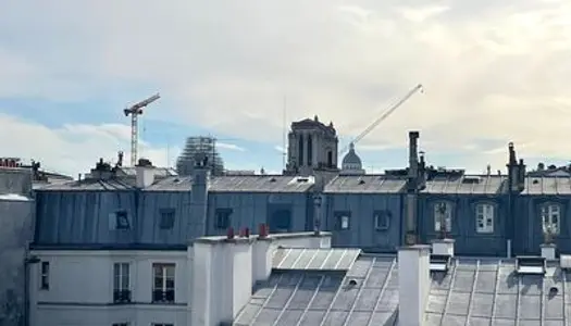 Appartements vue dégagée sur Notre Dame