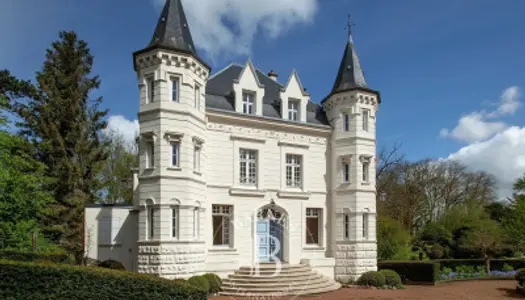 Château 15 pièces 360 m²
