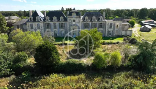 Château 16 pièces 590 m² 
