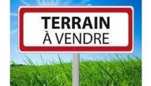 Terrain Vente Le Bouscat  325m² 223000€