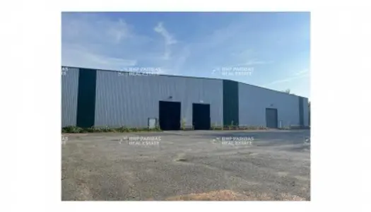 Local commercial 7040 m² 