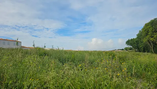 TERRAIN A BATIR - PORT DES BARQUES 