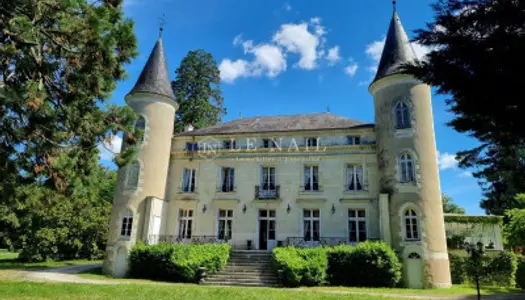 SUPERBE CHATEAU DU XIXeme SIECLE, A VENDRE 