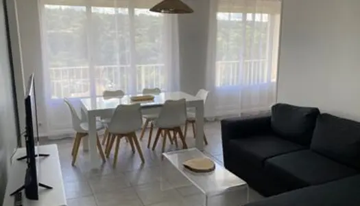 3 pièces 65M² entièrement rénové meublé 