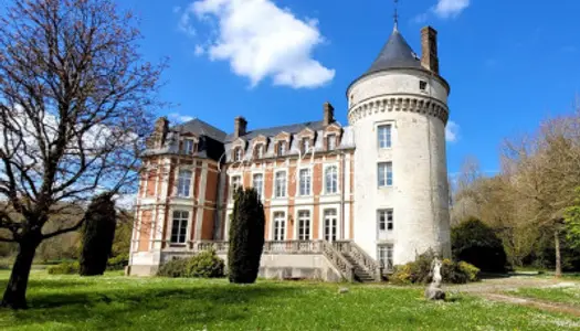 Château 10 pièces 680 m² 