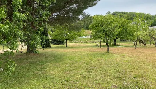 Avendre proche de CHINON maison P6 de 165 m² - Terrain de 5 000,00 m² 