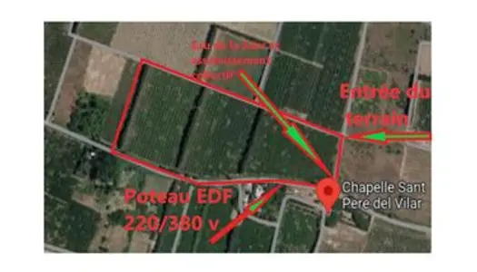 CLAIRA 66530 terrain agricole verger abricotiers 53000m²