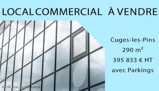 Commerce 290 m²