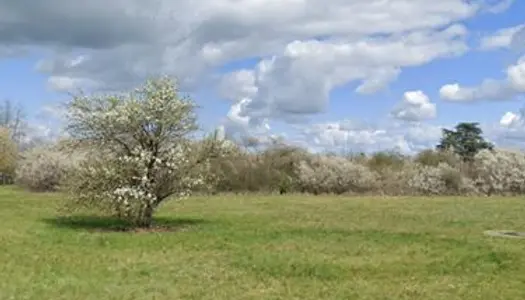 Pré pour pâture