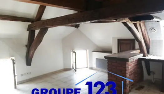 Appartement au coeur d'Aillant avec le charme des vieilles pierres