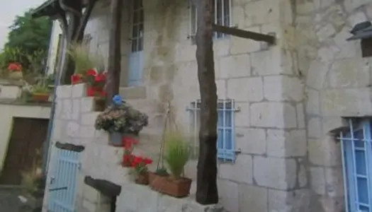 Insolite maison avec troglodyte de luxe et spa en Anjou