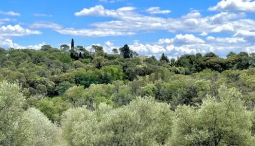 Propriété env 900m2 - plus de 50 hectares de terrain 