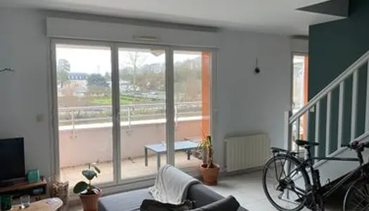 Appartement T3 vue sur la Mayenne 