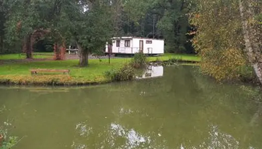 Terrain de loisir avec bungalow et petit étang de pêche