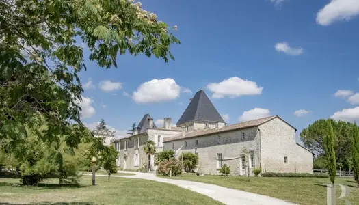 Château 20 pièces 435 m²