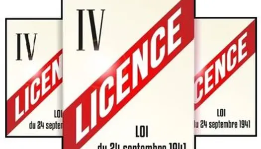 Licence IV exploitable en CHARENTE 