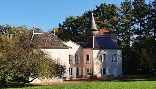 Vente Château 670 m² à Villefranche sur Saone 1 600 000 €